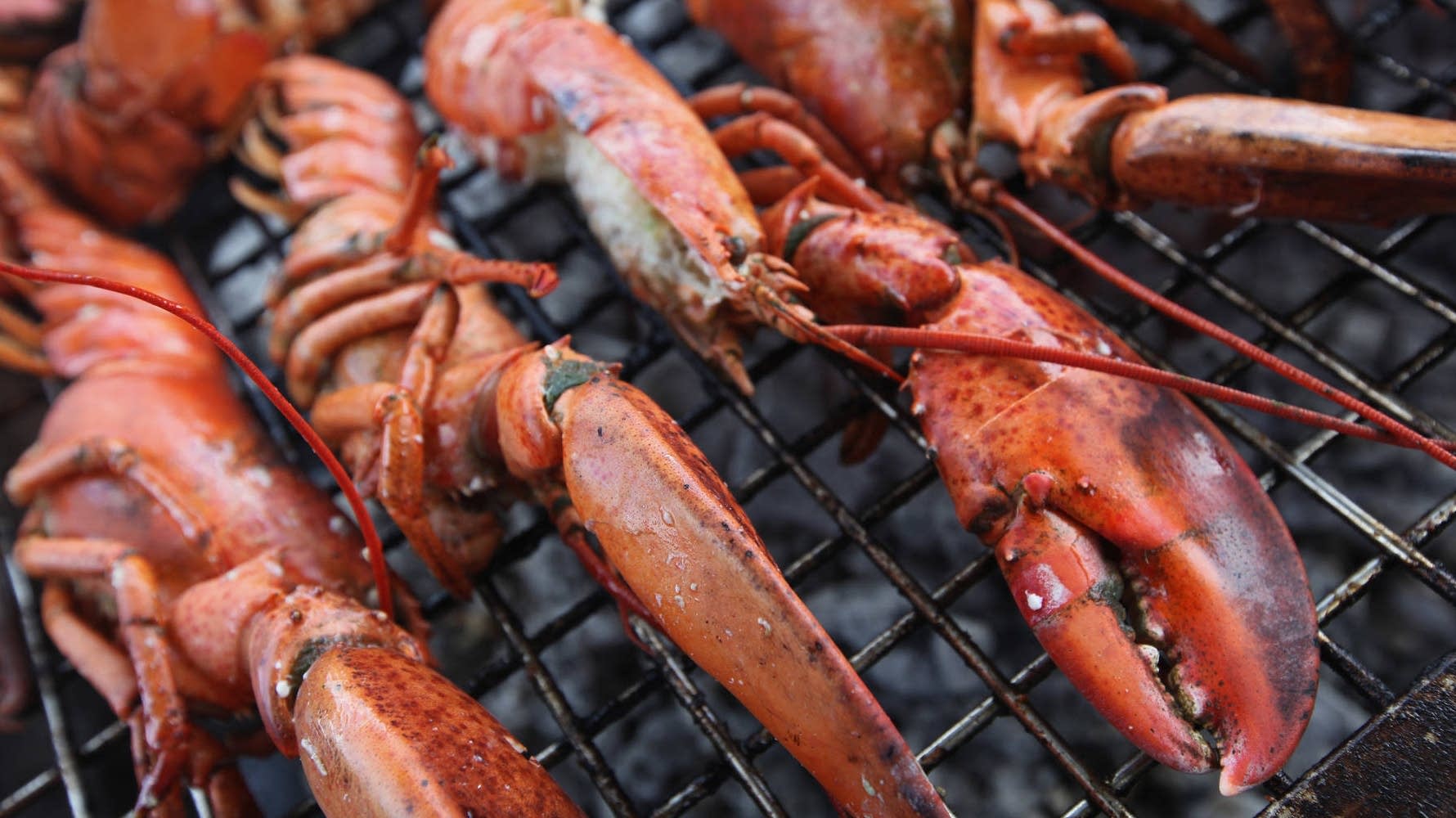 A seasonal check-in for Maine’s lobster industry