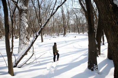 Hiking through the park