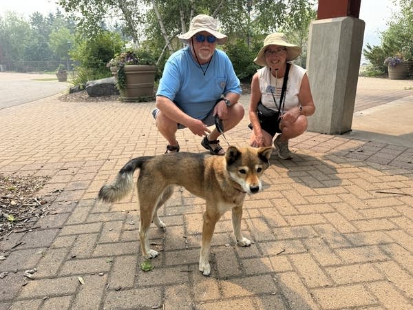Two people in hats walking their dog