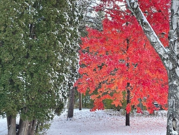 Snow Saturday, but holiday travel stays cooperative otherwise