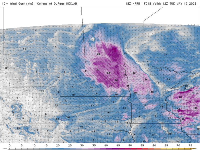 tue winds