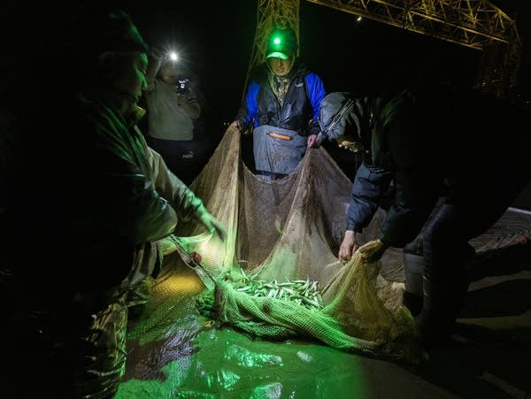 Lake Superior smelting tradition continues, despite new pollution concerns
