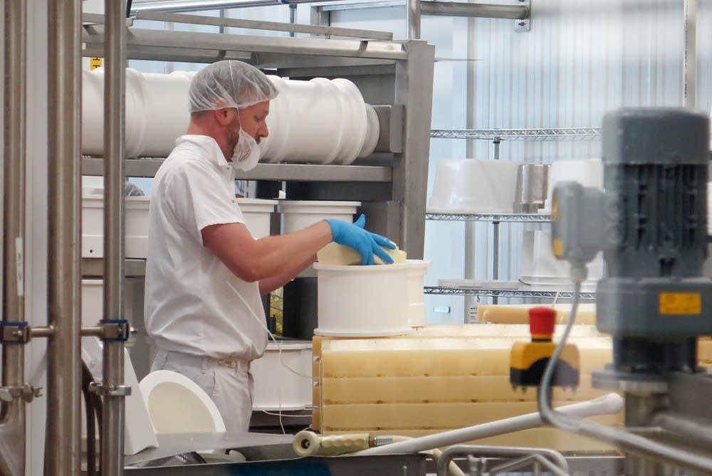 Head cheesemaker Rueben Nilsson examined his work.