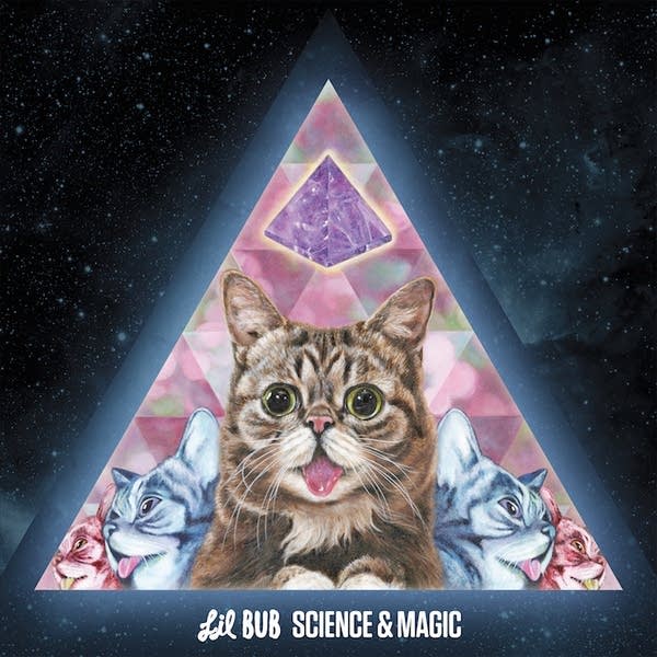 Today’s Music News: Lil Bub is the latest cat to have a hit album
