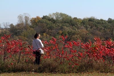 Overlooking a nature preserve