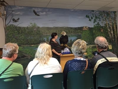 The National Eagle Center in Wabasha, Minn.