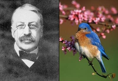 Stanford and Blue Bird