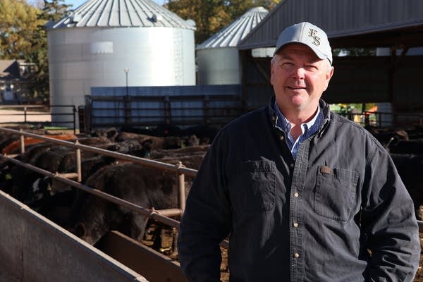 A man stands near a feed trough with cattle behind him.