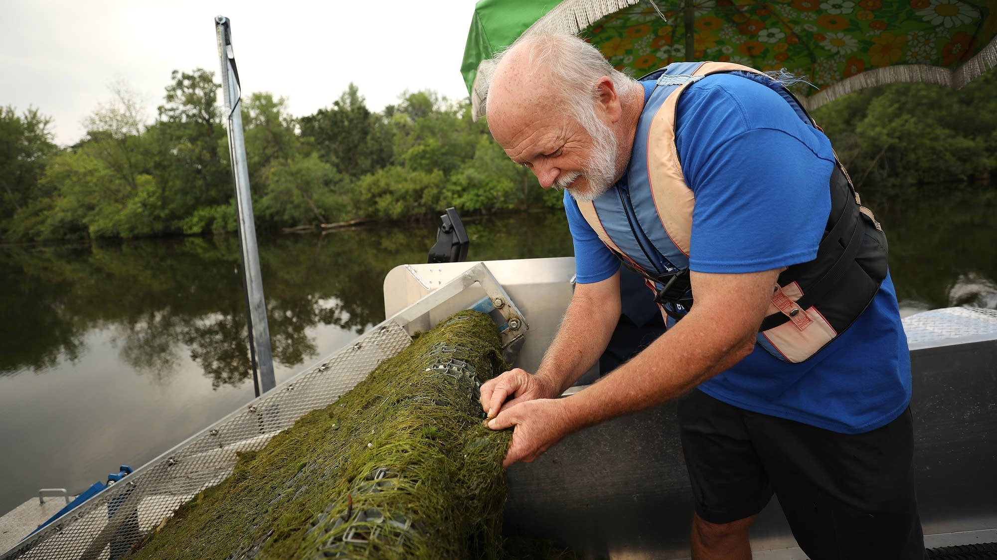 As lake invaders dig in, Minnesota worries what comes next | MPR News
