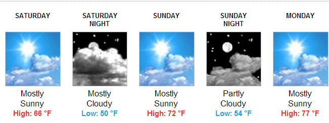 521 ql