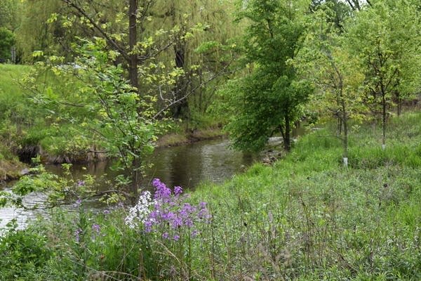 Rain chances increase; Periods of rain Sunday evening into Monday AM