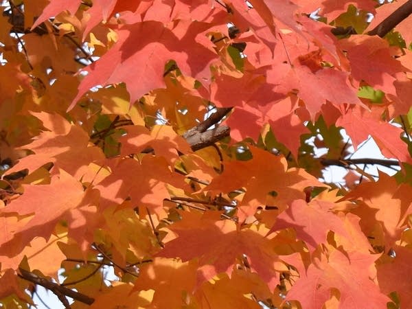Updated severe weather outlook Sunday night into Monday