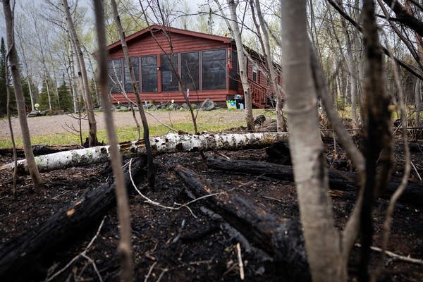 Charred trees next to a house
