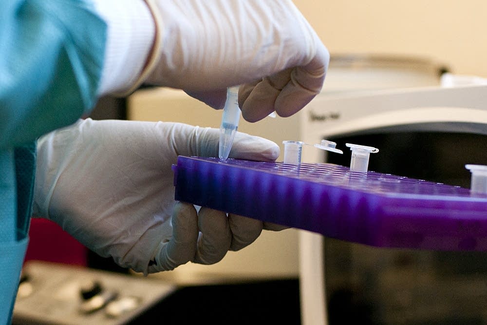 Samples in a DNA laboratory