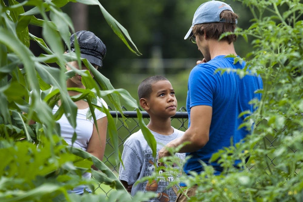 Youth farm