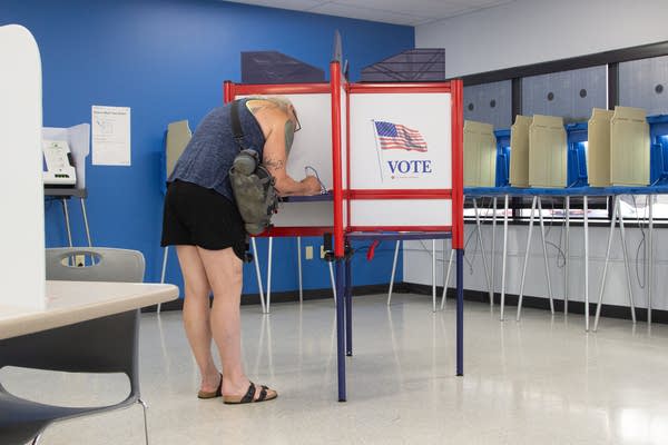 Build your ballot: Minnesota's 2026 primary election