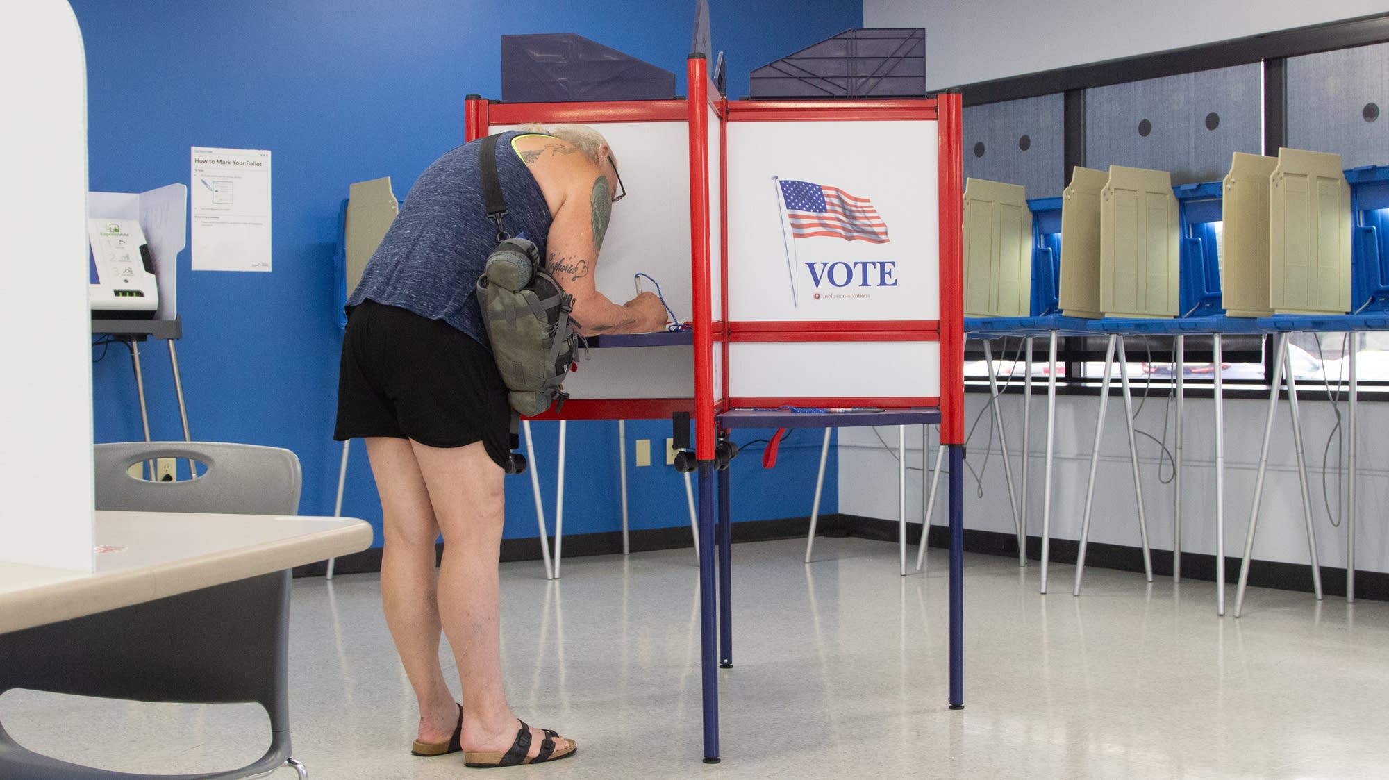 Candidates battle in GOP, DFL Senate primaries