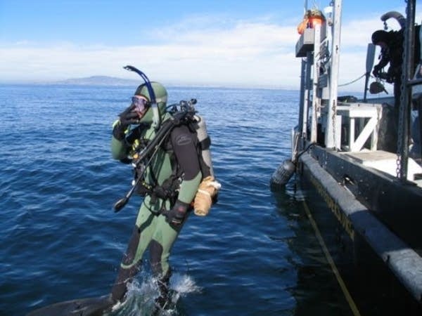 A Beautiful World: The ocean defenders