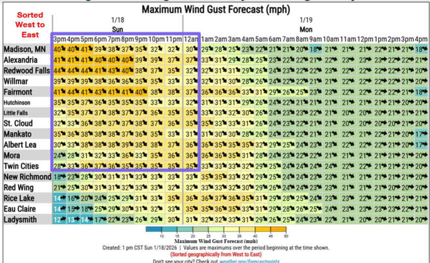 Wind gust forecast