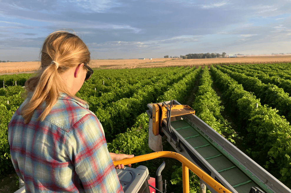 Americans are drinking less. What does that mean for winemakers in the Heartland?