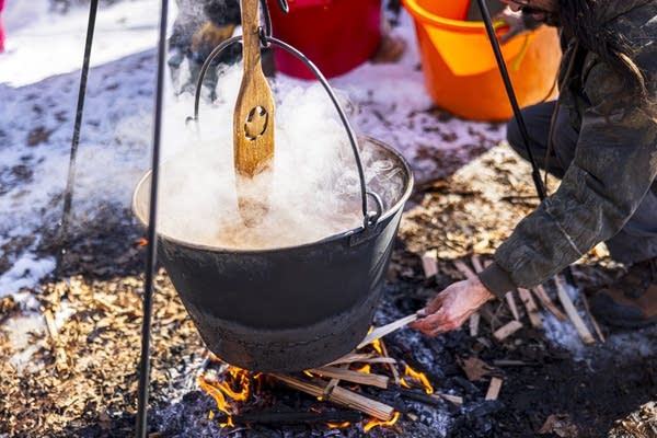 A school field trip to skigamizigan (sugar bushing) Camp 