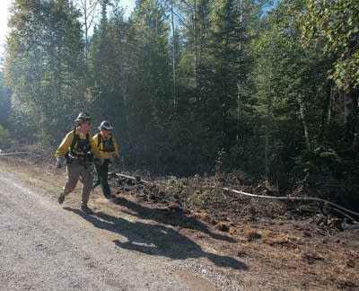 Pagami Creek Fire