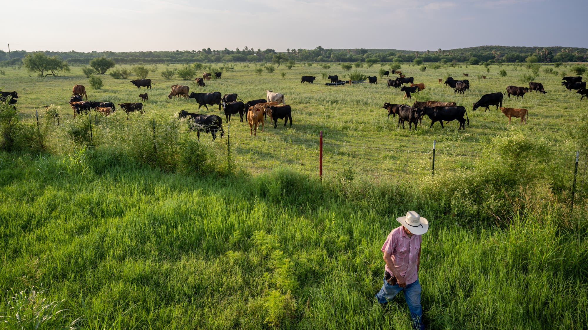 Many farmers, ranchers stare down an economic crisis