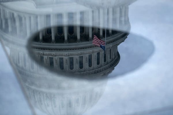 The Capitol Rotunda is reflected upside down in water in Washington, D.C.