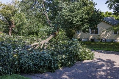 Storm Damage