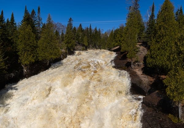 High water levels on a river in a forest.