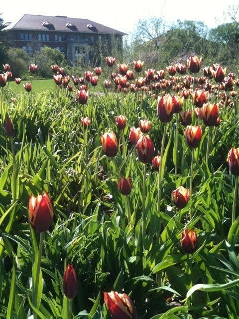 Why I need to leave this darn office NOW