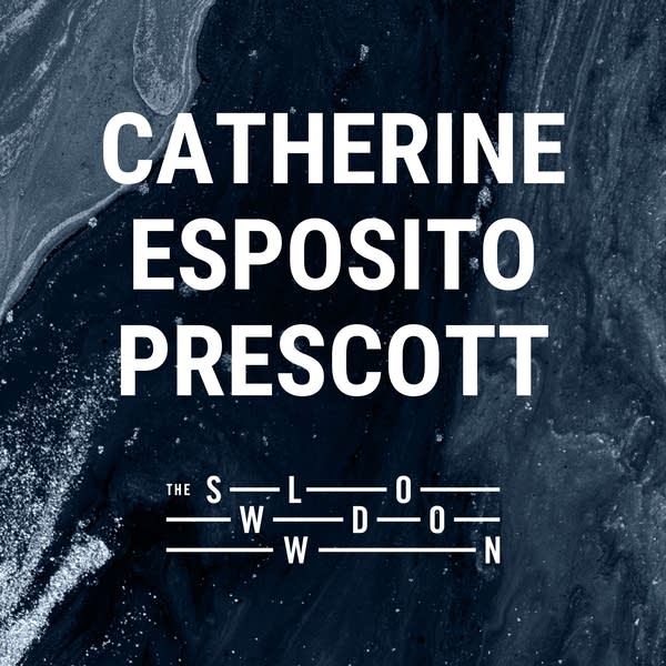 20260730 The Slowdown Catherine Esposito Prescott