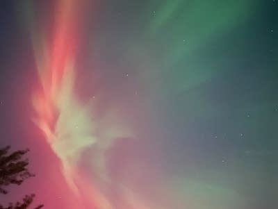 aurora in shoreview 