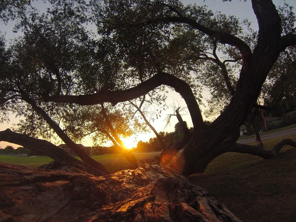 Sunset on campus