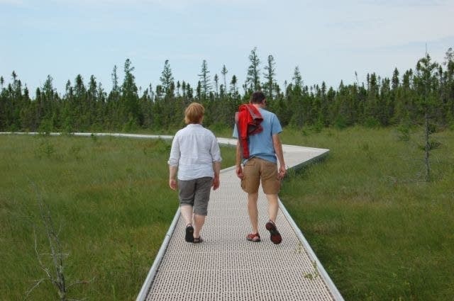 Bog walkers