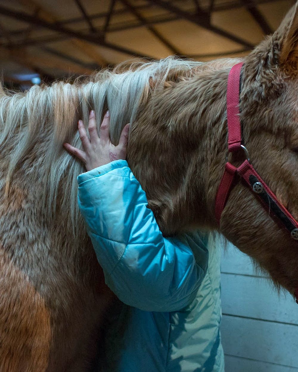 Heartland Girls' Ranch helps heal underage victims of sex trafficking | MPR  News