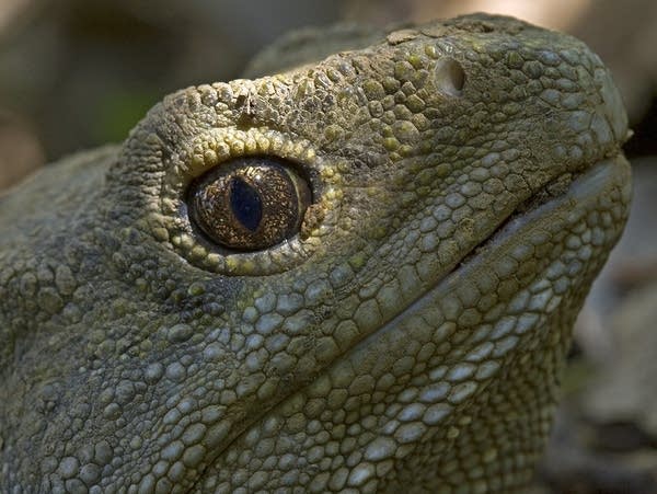 What songs do you want to hear for today's 9:30 Coffee Break?