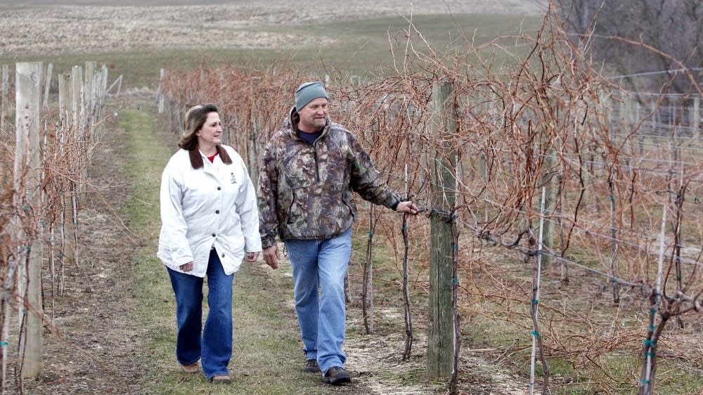 Looking for a hobby, couple plants vineyard MPR News