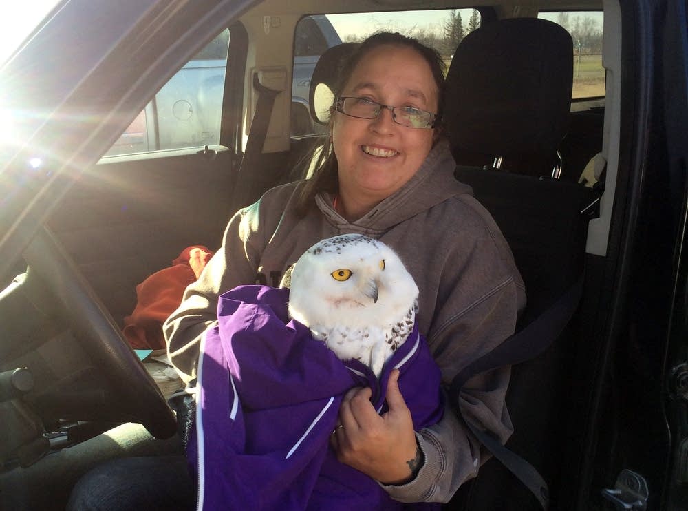 Mindy Kleeb with rescued snowy owl.
