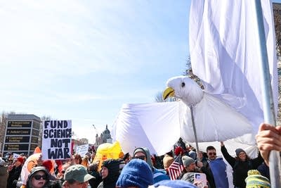 People hold puppets at a rally
