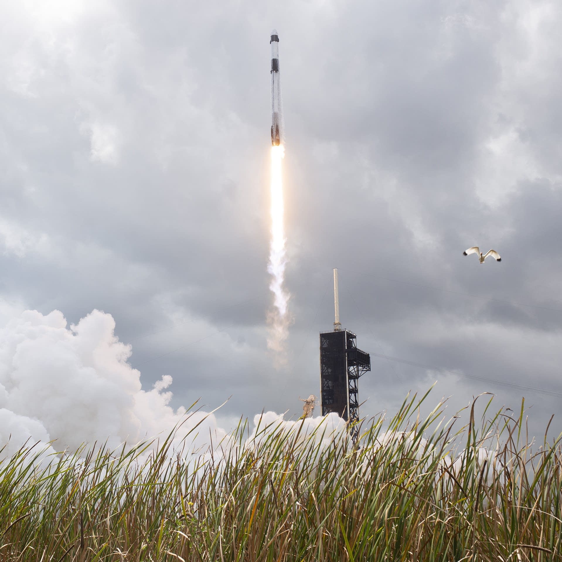 Bytes: Week in Review - SpaceX and xAI merge, Nvidia and OpenAI's funding relationship and U.S. TikTok's rough start