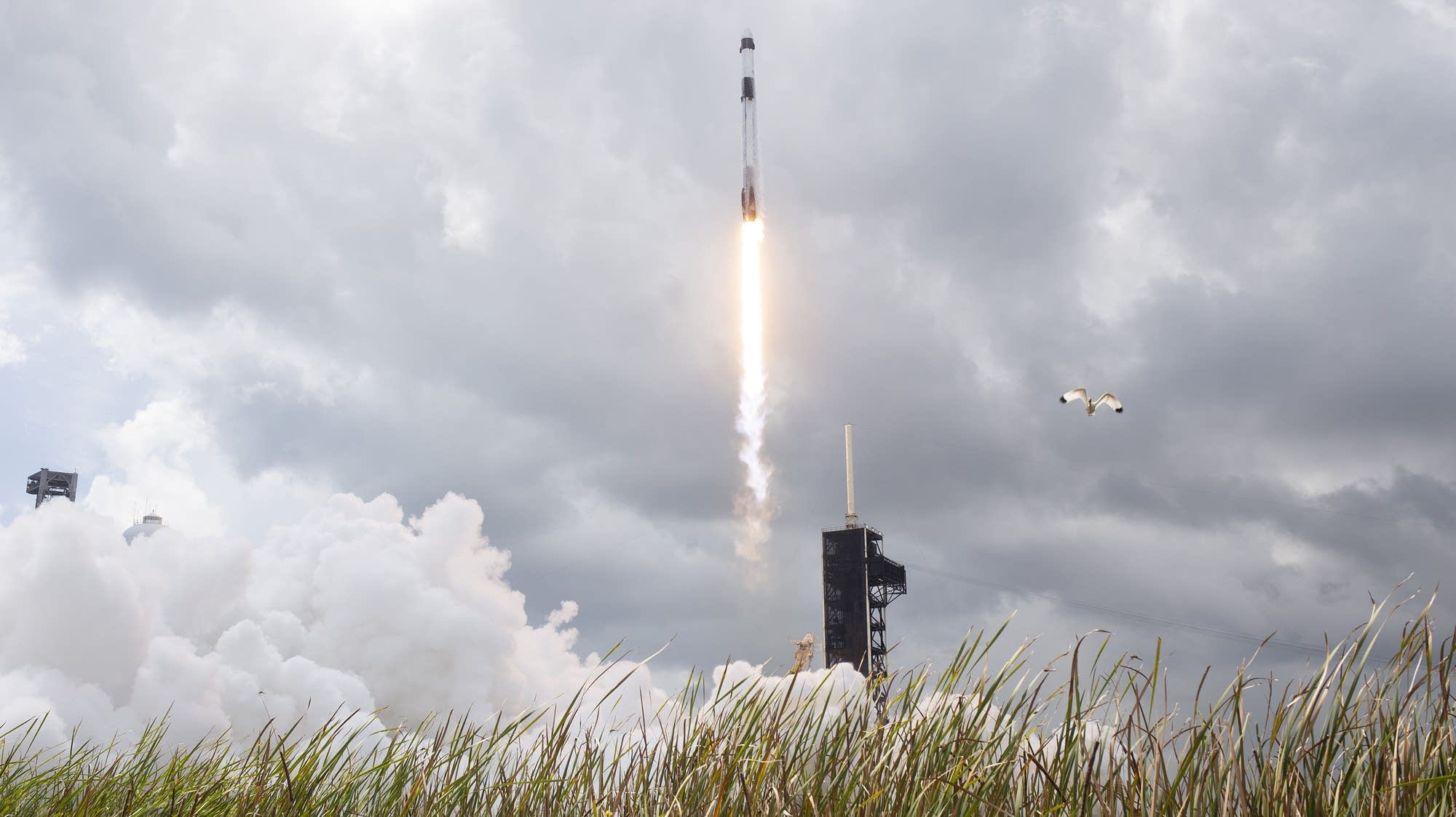 Bytes: Week in Review - SpaceX's IPO, Iran threatens U.S. tech firms and California's new AI executive order