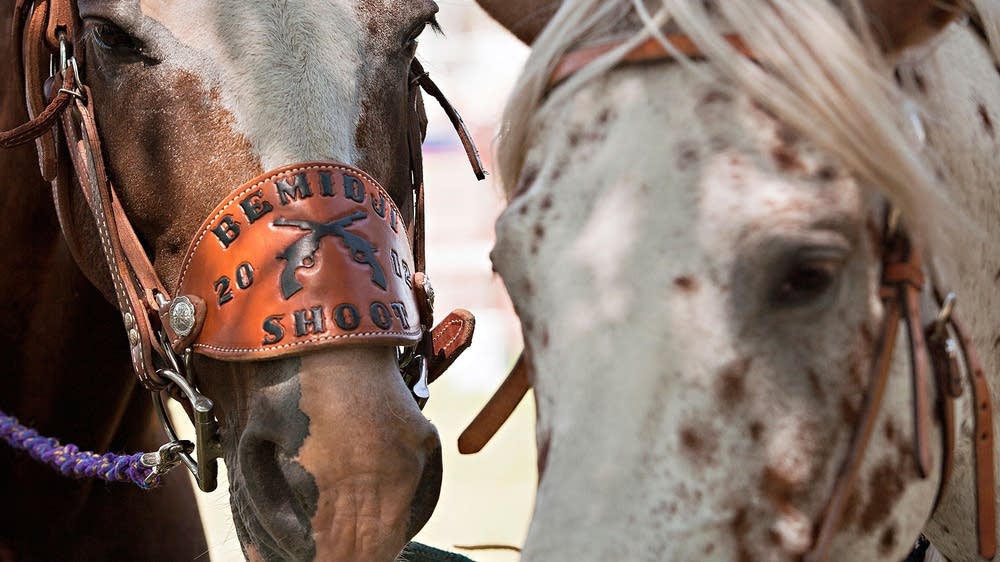 Animal health officials warn of deadly horse disease MPR News