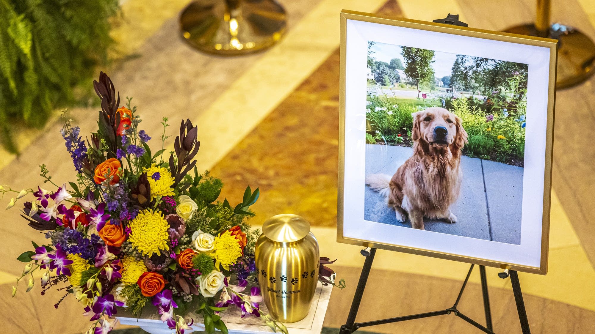 melissa hortman dog gilbert Image 9