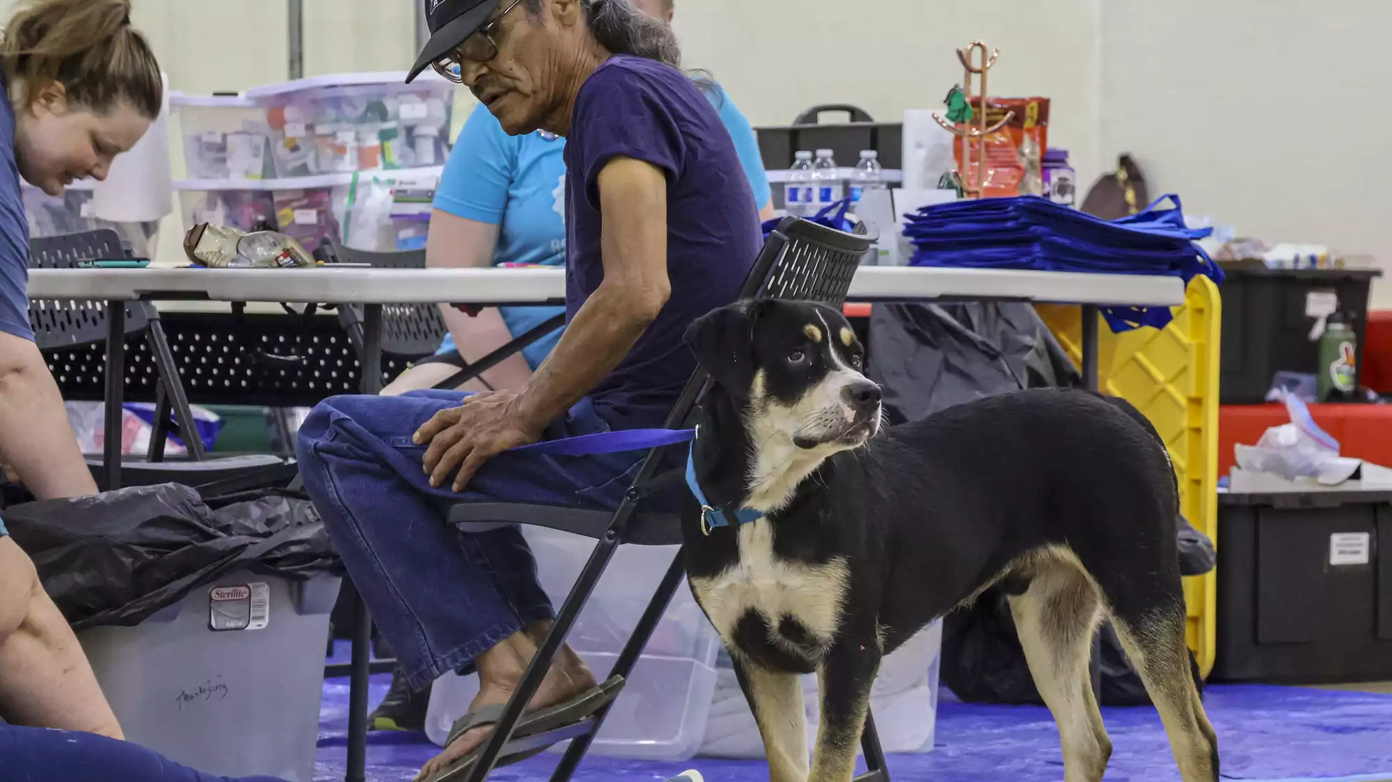 Ponemah pet clinic part of campaign for more Indigenous veterinarians