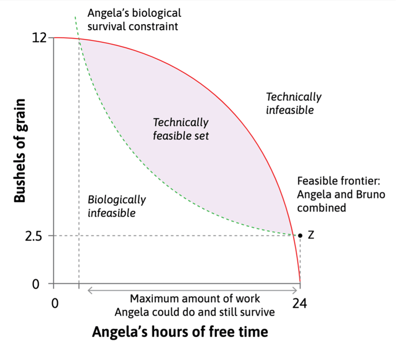 The chart from last week modeling Angela’s feasible frontier for hours worked and bushels of grain produced. Now a new curve, bent the other way, models Angela’s survival constraint of 2.5 bushels of grain per day. The lens-shaped area in the middle of these two curves is the “technically feasible…