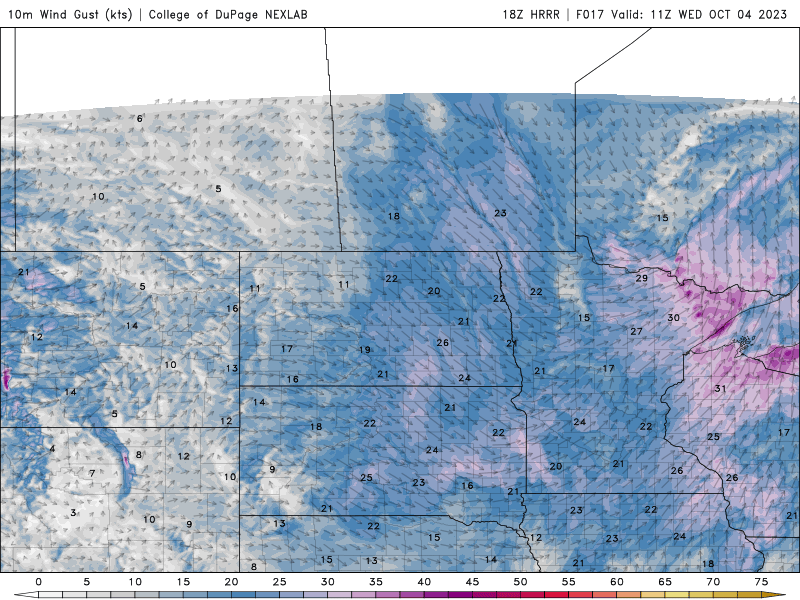 wed winds