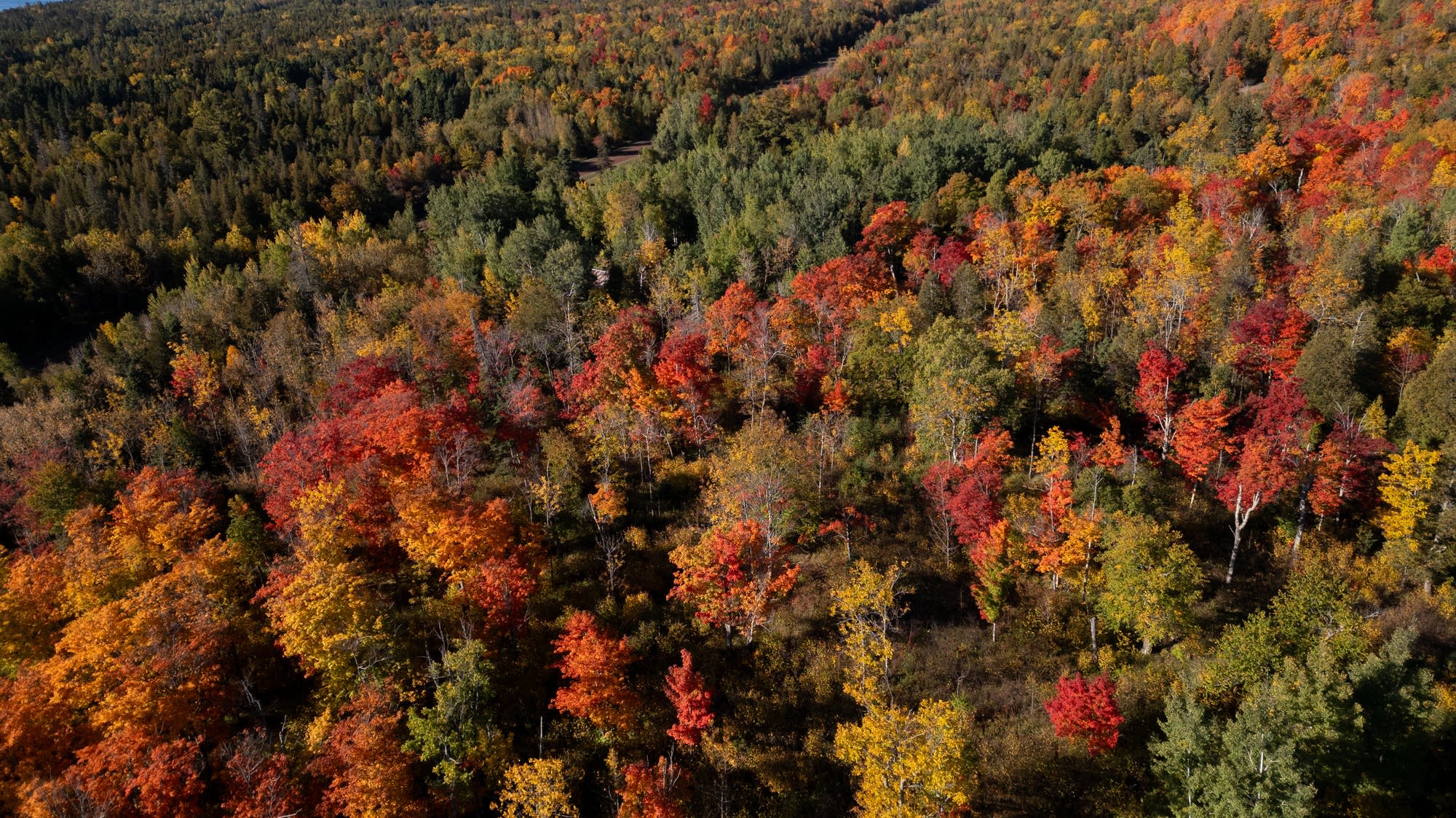 Photos: Fall colors popping in northern half of Minnesota, north of I-94