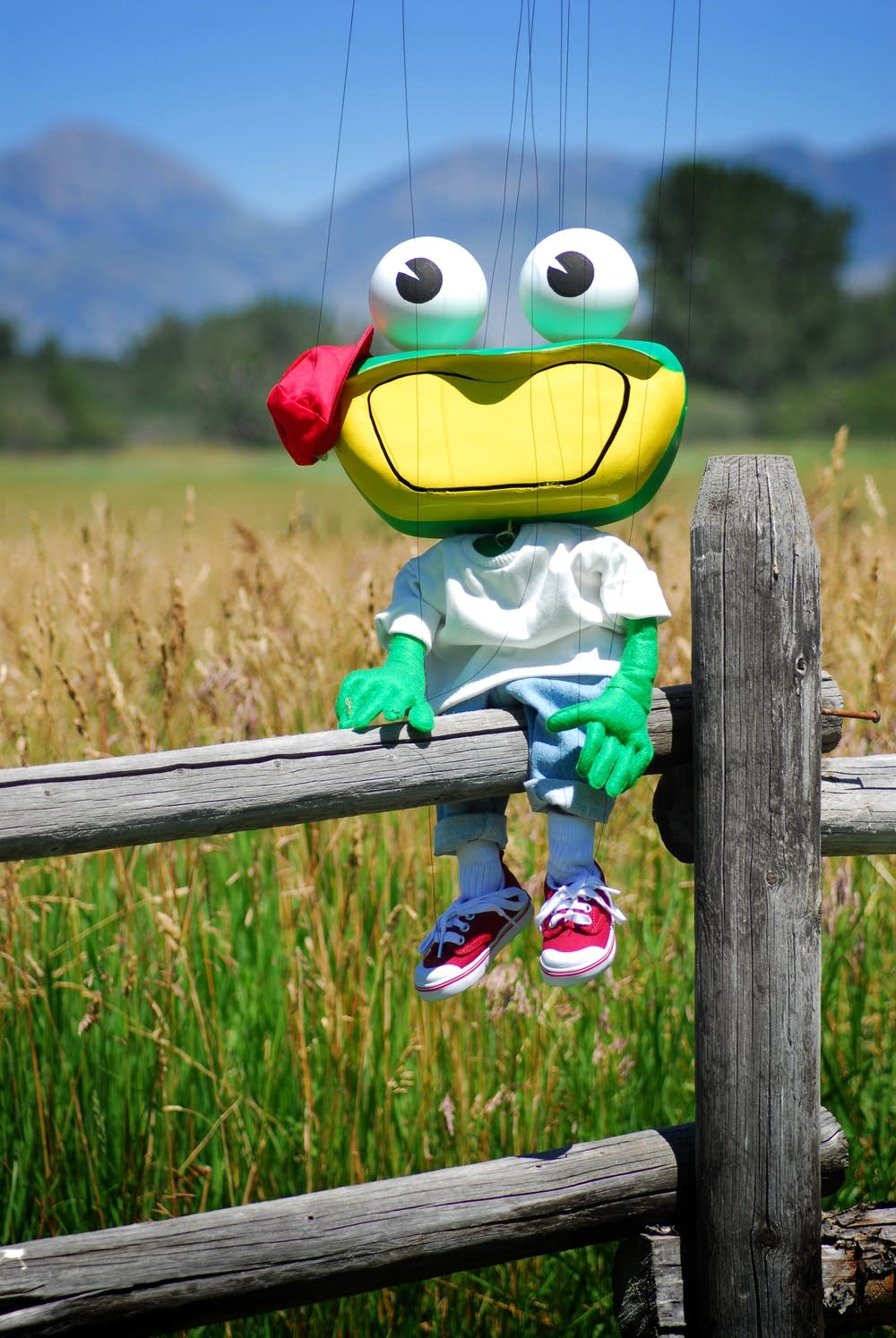 Froggy-Doo