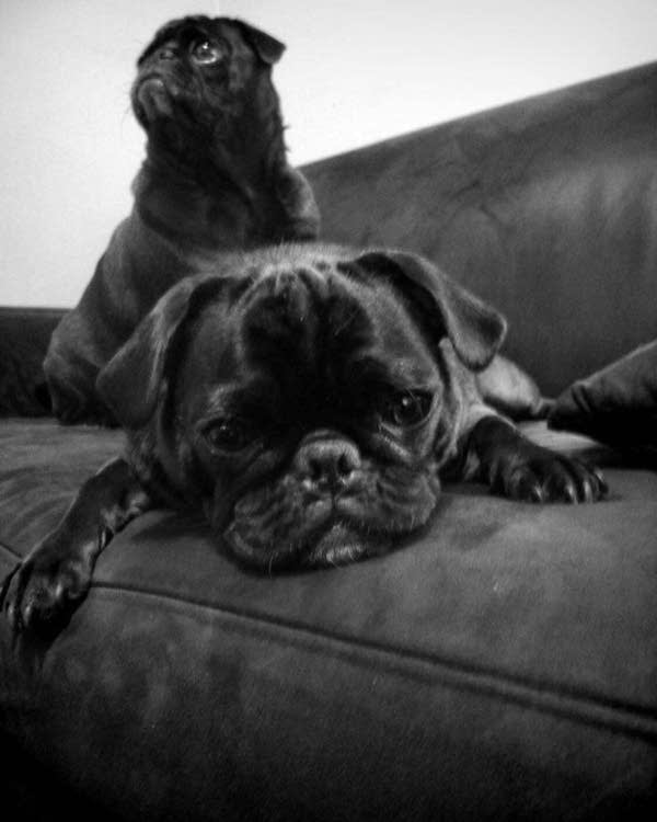 Ringo and Starkey